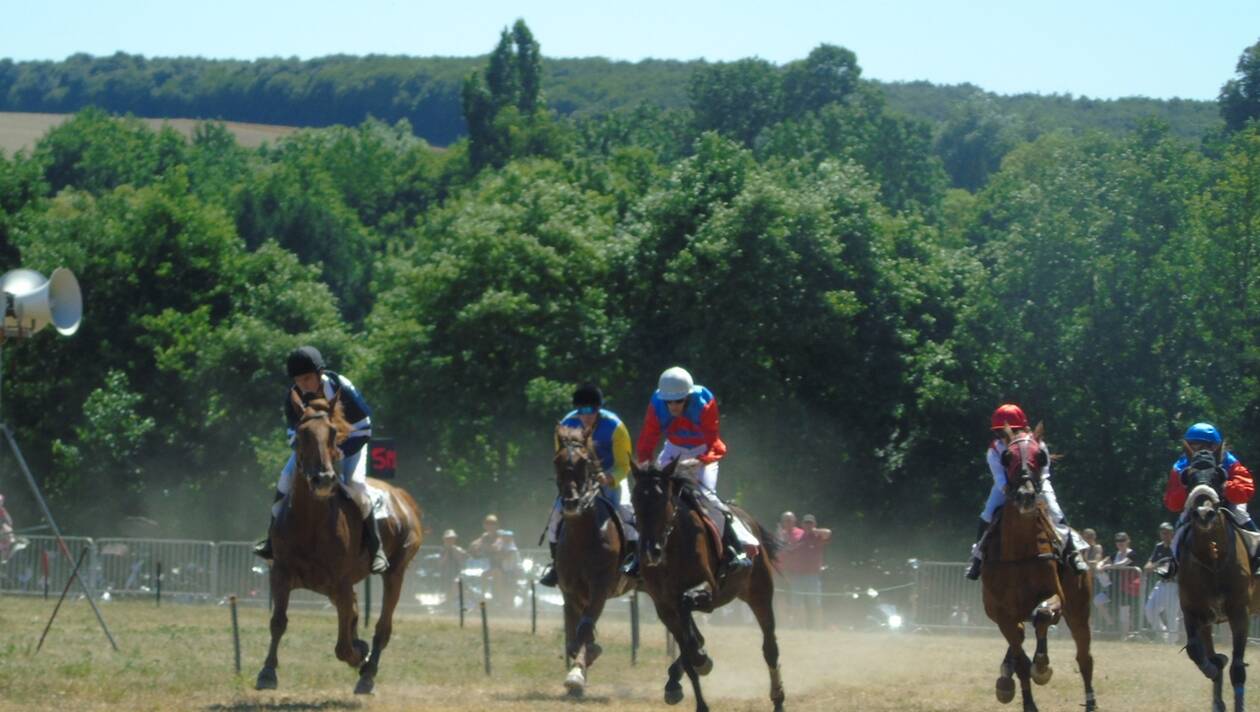 Challain-la-Potherie. Au trot, au galop… Les chevaux vont être à la fête