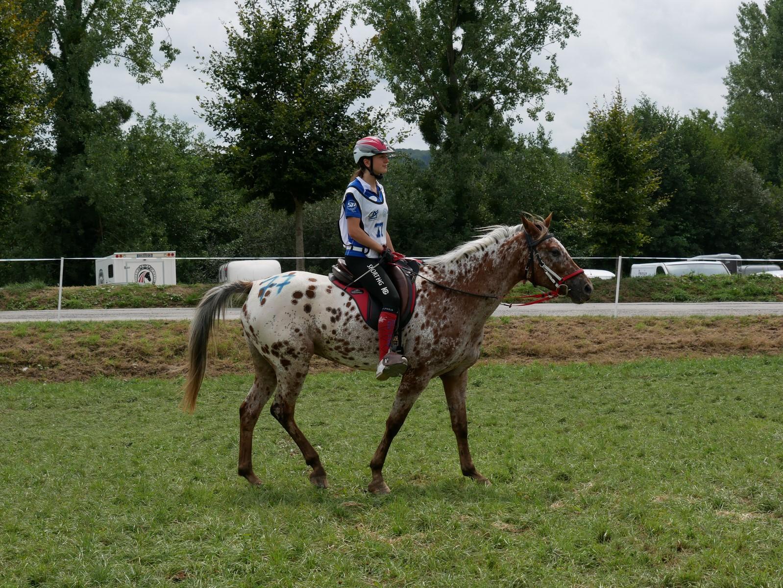 Tennie : sports équestre : le titre national pour Madeline Bécavin en endurance junior