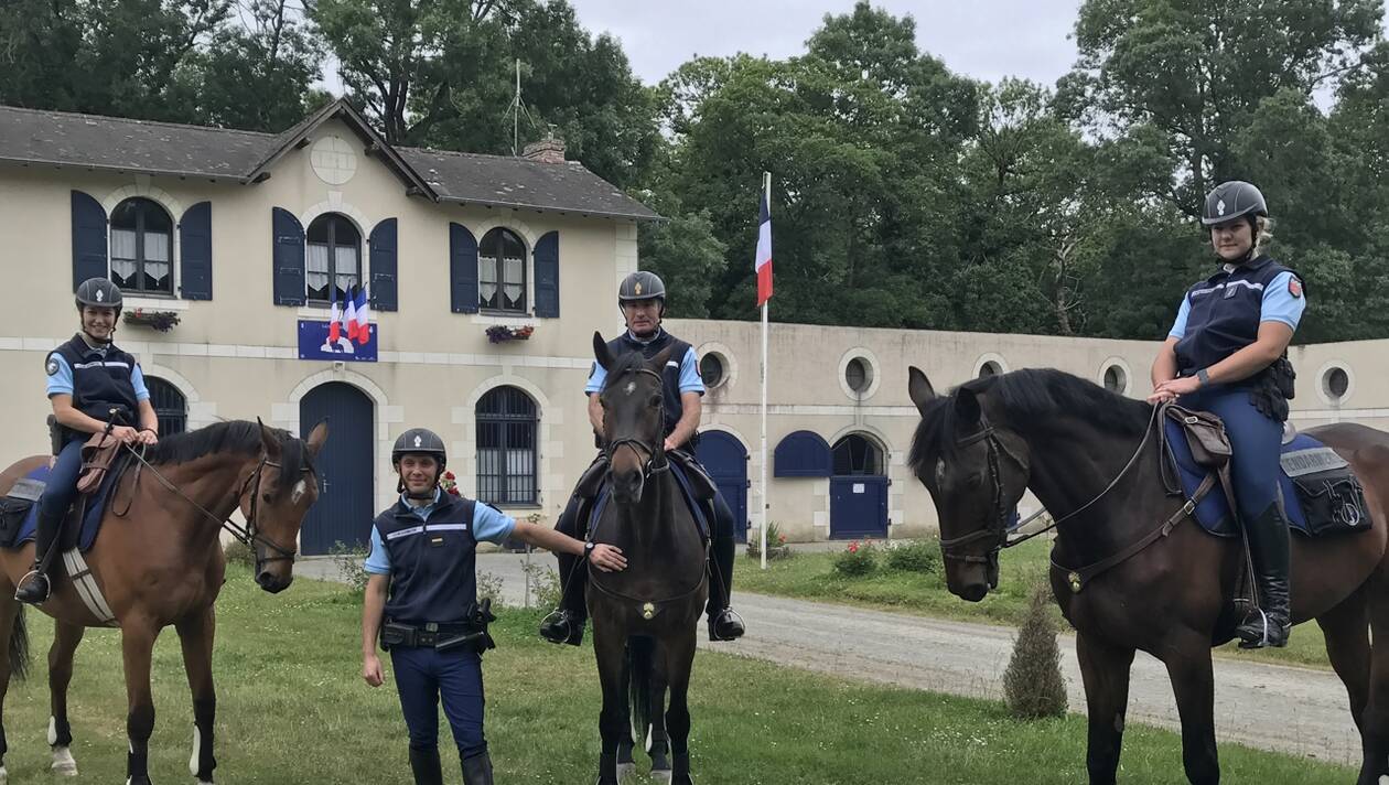 Près de Segré. Trois nouveaux chevaux rejoignent la Gendarmerie nationale