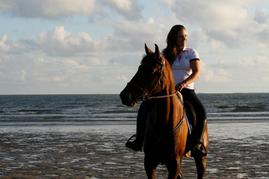 Une cavalière et son cheval vont parcourir 300 kilomètres sur les bords de Loire