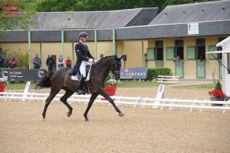 CDI 3* Saumur : la Belgique remporte le GPS de peu devant la France !