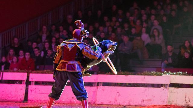 La Roche-sur-Yon. À Noël, 29 000 visiteurs au haras de la Vendée