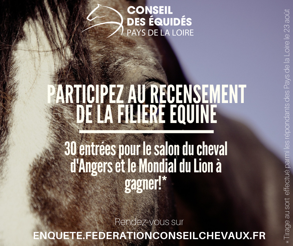 Remportez des places pour le Salon du Cheval d'Angers et le Mondial du Lion !