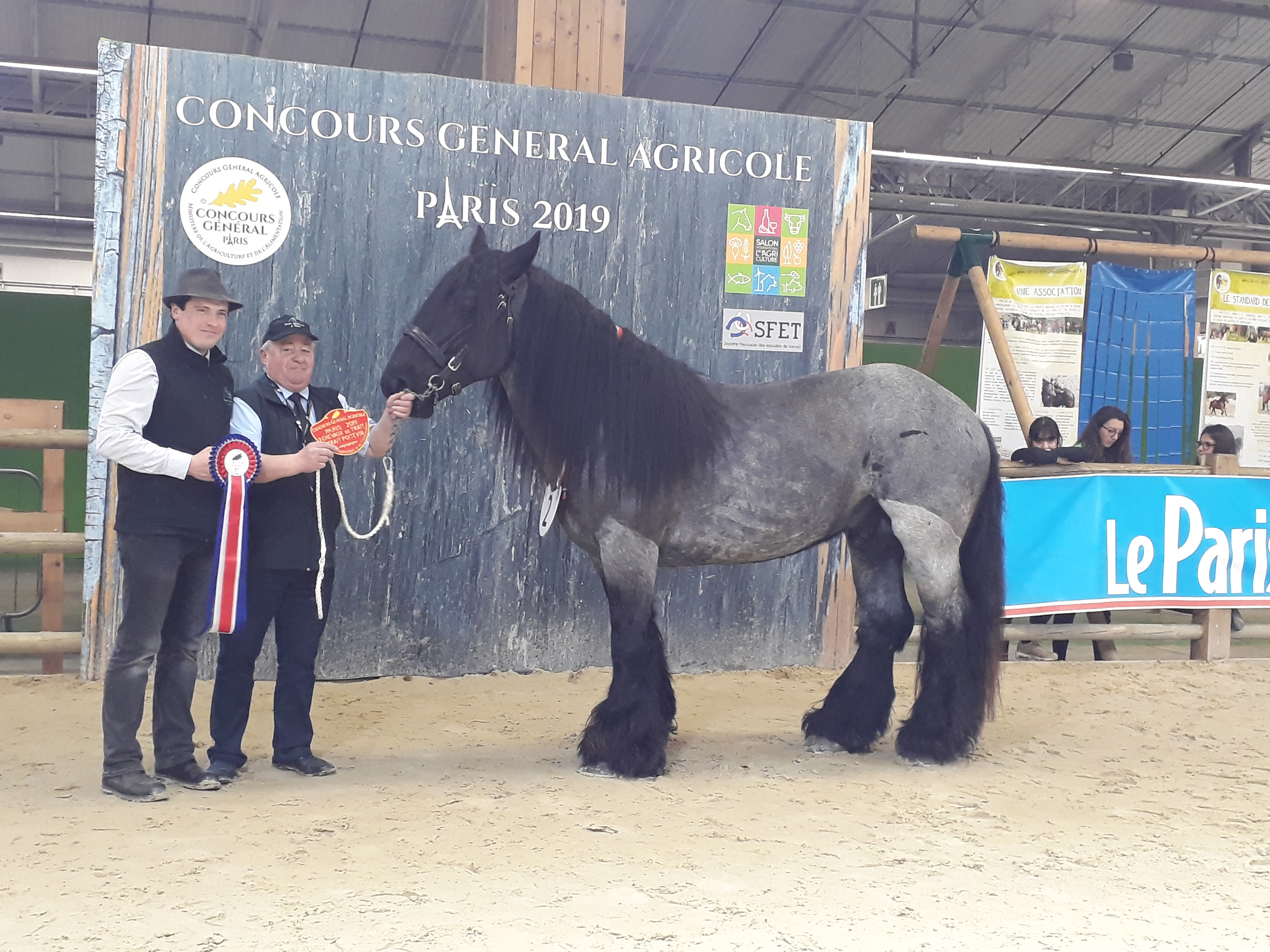 Falco Richardiere est le gagnant du Concours général agricole des étalons Poitevins mulassiers