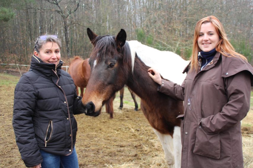 La Ferme des Bleuets à Vaas se lance dans la randonnée équestre en compétition