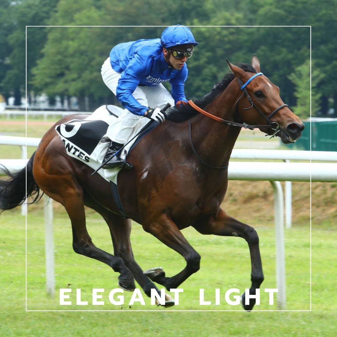 Elegant Light en cavalier seul