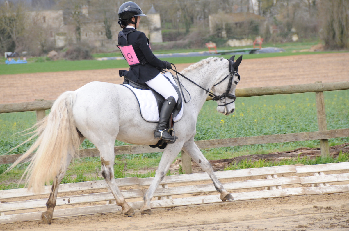 Poneys : les As du complet étaient à Vernoil