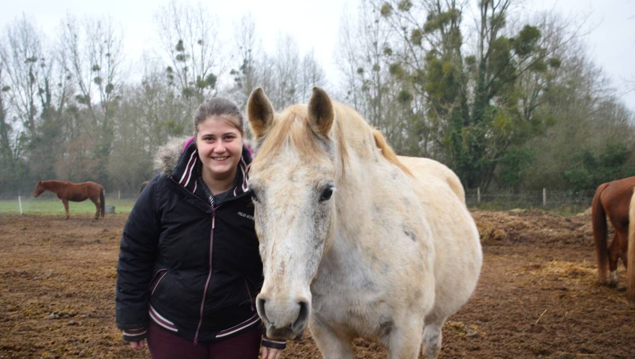 Marie, équicienne, met les chevaux au service du handicap à La Flèche
