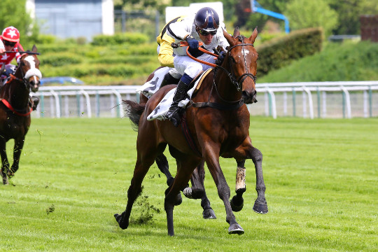 Invincible Dina, le premier black-type de l'écurie de la Dentelle