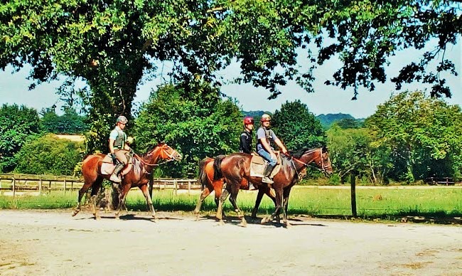 De la chaussure au fer à cheval…