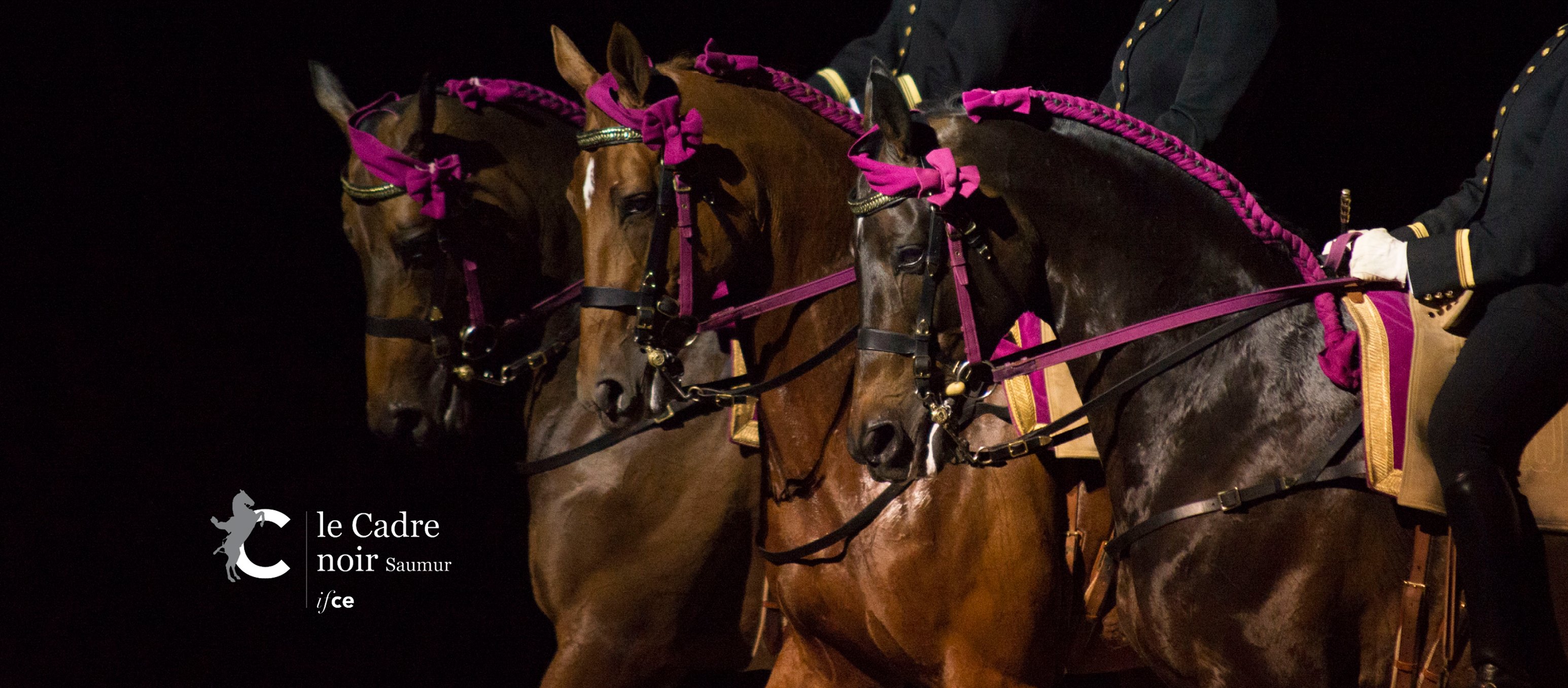 Gala : Au cœur du Grand Manège de Saumur