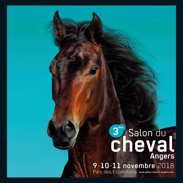 Salon du Cheval d'Angers