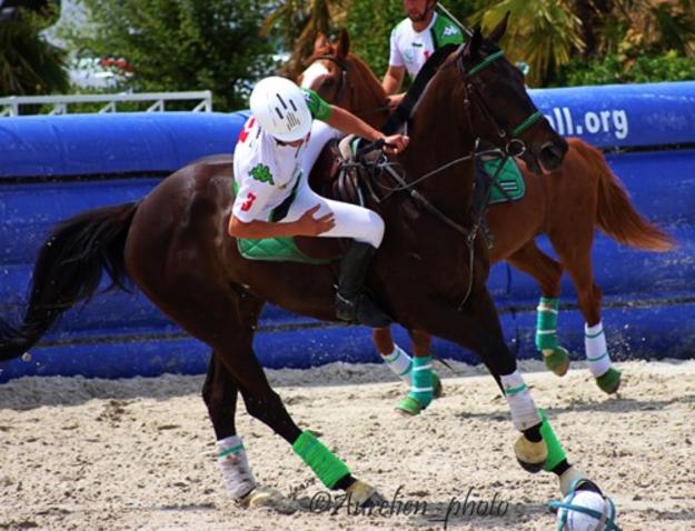 HORSE-BALL - 5ème étape du championnat de France Pro Elite au Mans