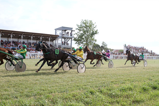 Réunion de Trot à l'Hippodrome de Luçon