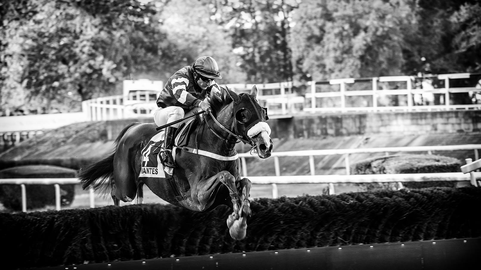 Réunion de Galop à l'Hippodrome de Nantes