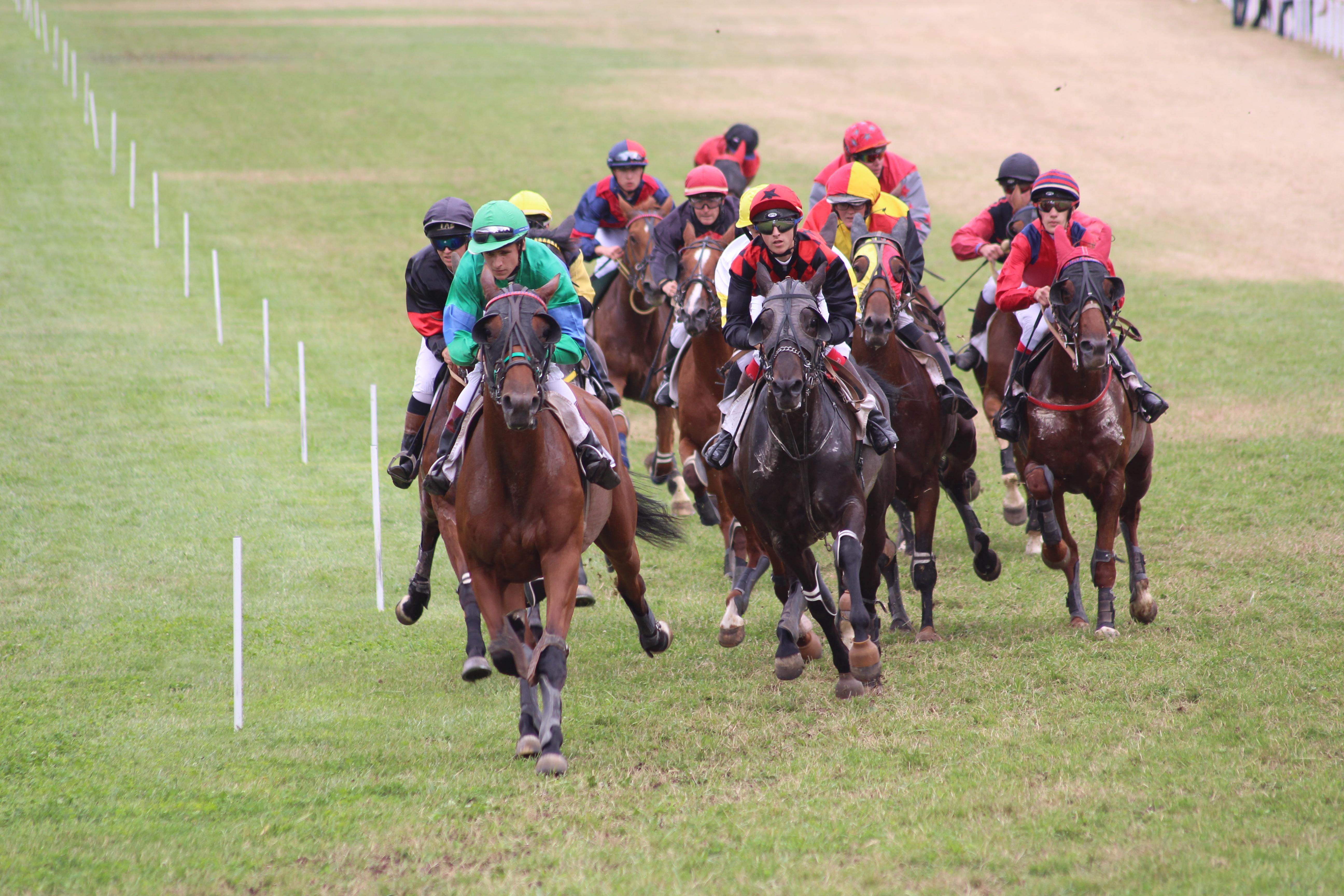 Sarthe : un rendez-vous hippique en semi-nocturne