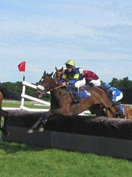 Réunion de Galop à l'Hippodrome de Senonnes-Pouance