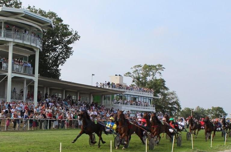 Réunion de Trot semi-nocturne à Hippodrome de Nort-sur-Erdre