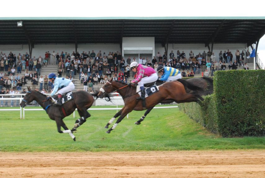 Réunion mixte à l'Hippodrome de Sable-sur-Sarthe