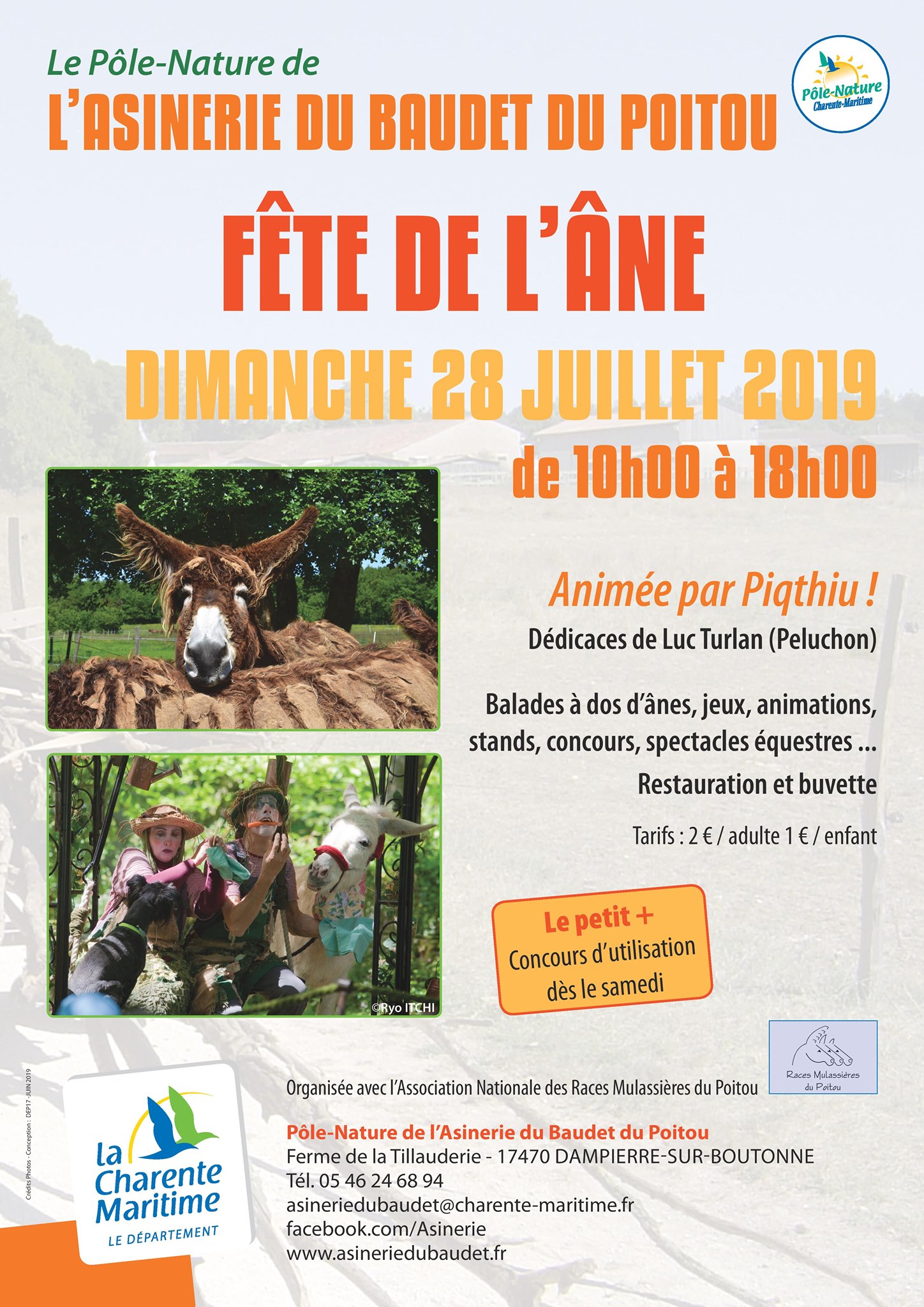 Fête de l’âne