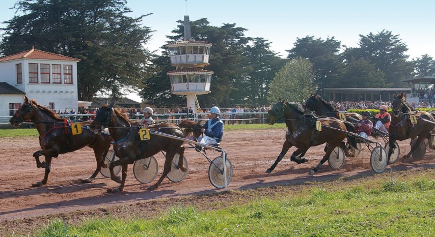 Réunion mixte à l'Hippodrome de Machecoul