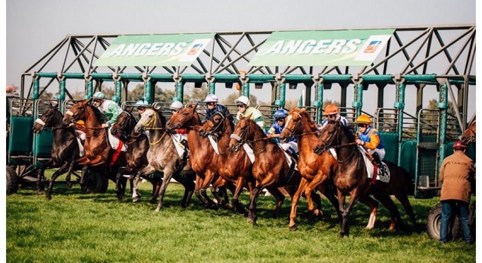 Réunion de Galop à l'Hippodrome d'Angers