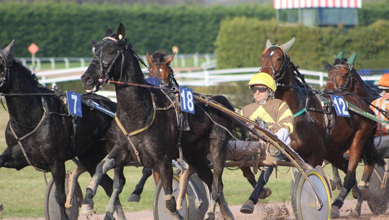 Réunion de Trot à l'Hippodrome de Challans