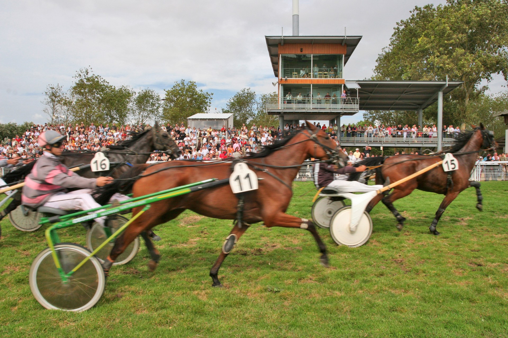 Réunion de Trot semi-nocturne à Hippodrome de Saint-Jean-De-Monts