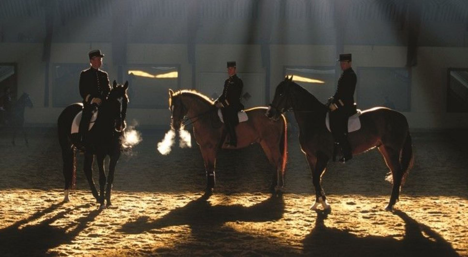 Découverte technique de l'Ecole Nationale d'Equitation à Saumur