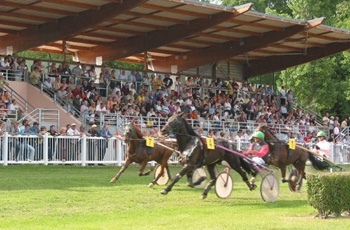 Réunion de Trot à Hippodrome de Mamers