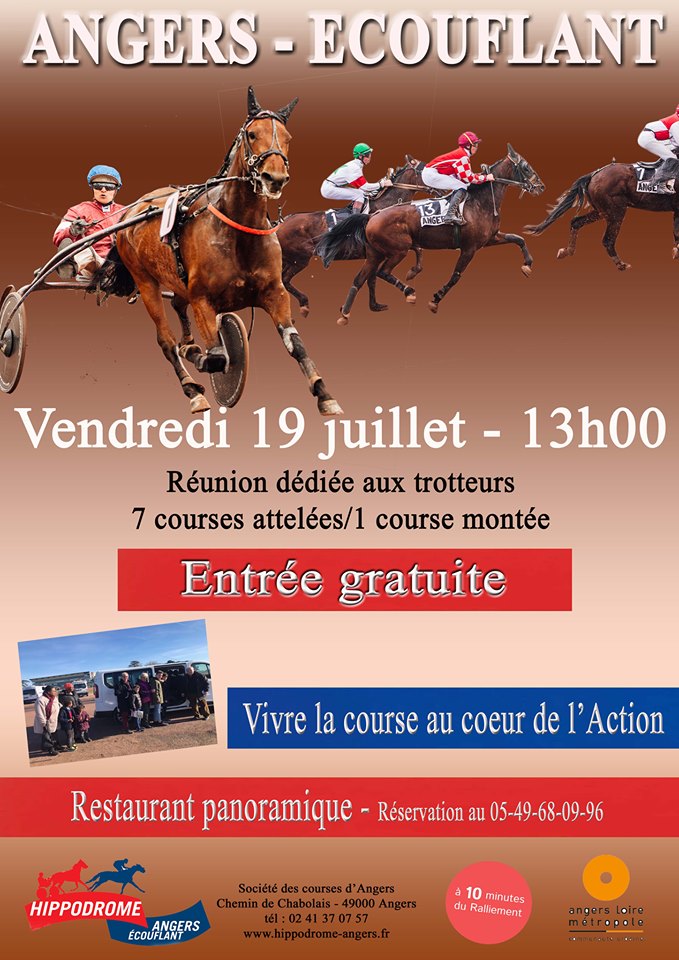 Réunion de trot à l'hippodrome d'Angers