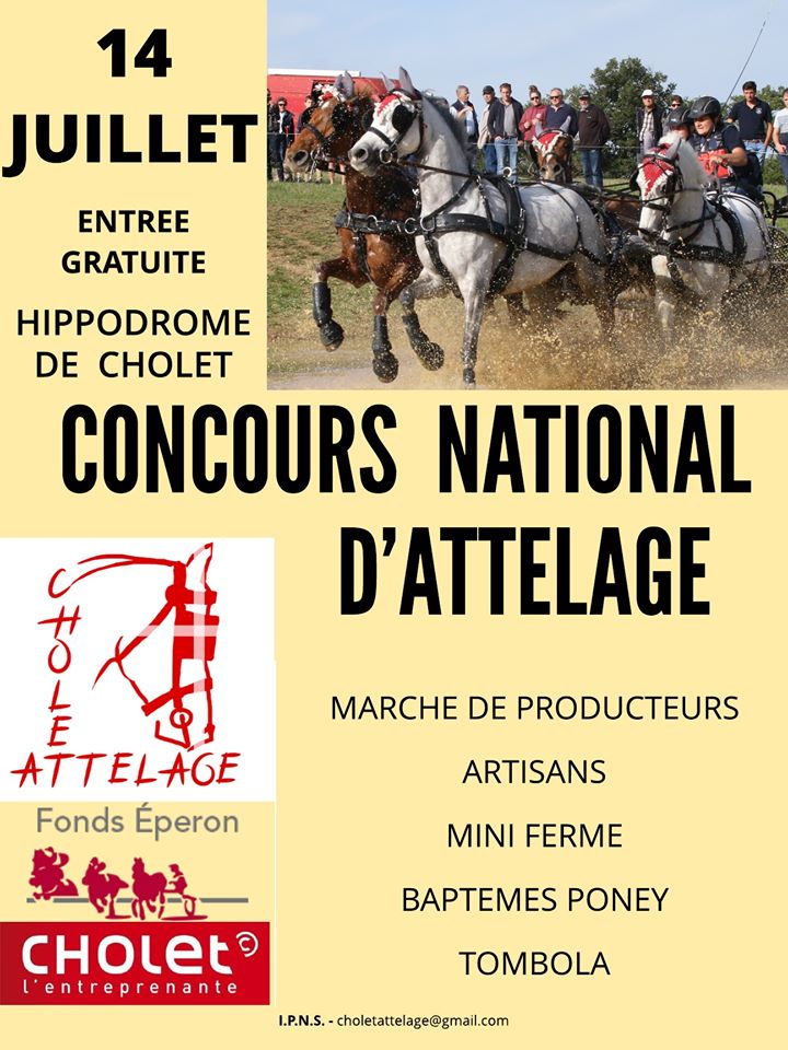 Concours National d'Attelage - Hippodrome de Cholet