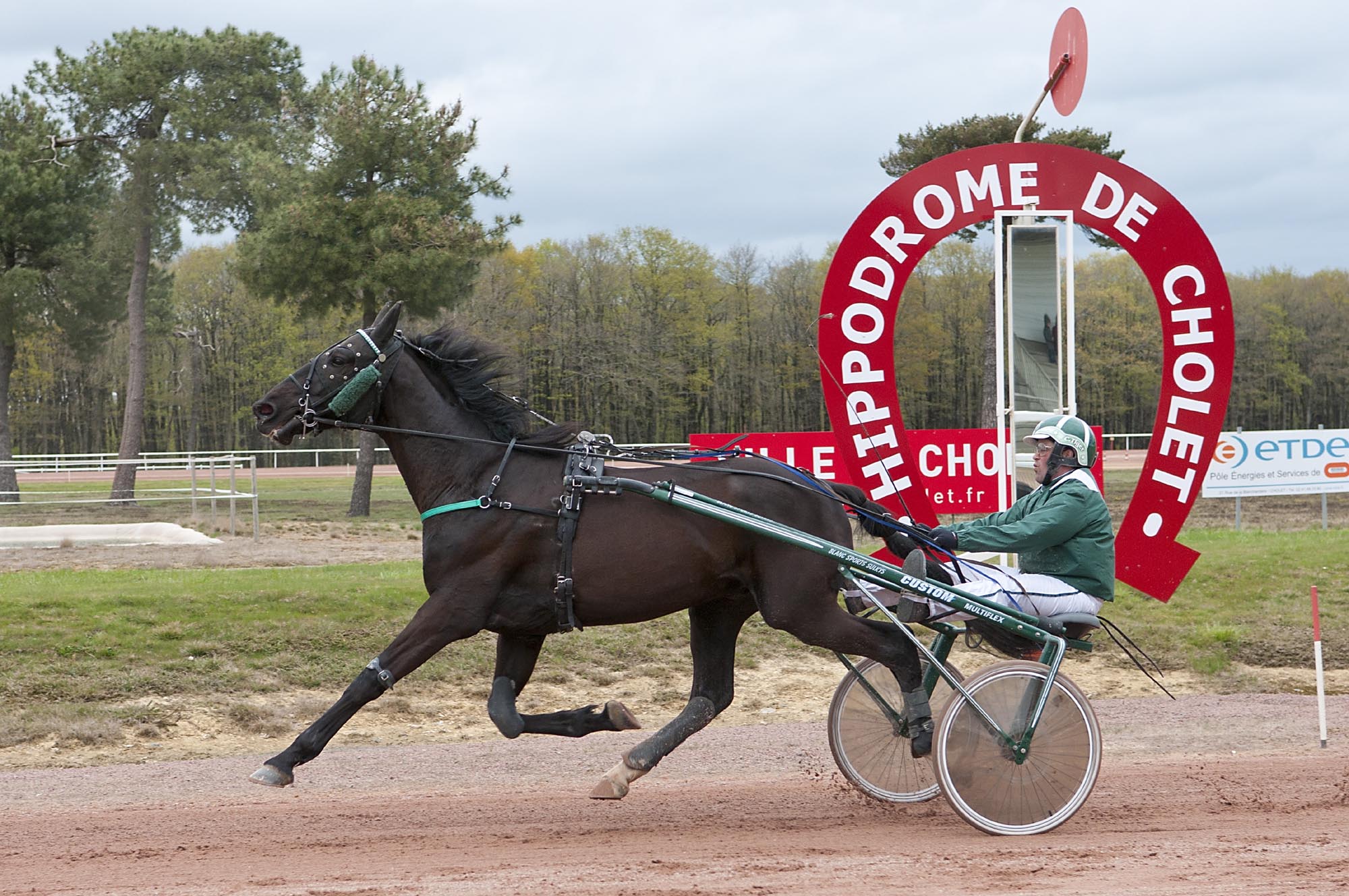 Réunion de Trot à l'Hippodrome de Cholet